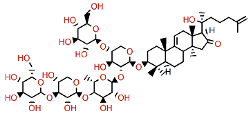 Holotoxin G